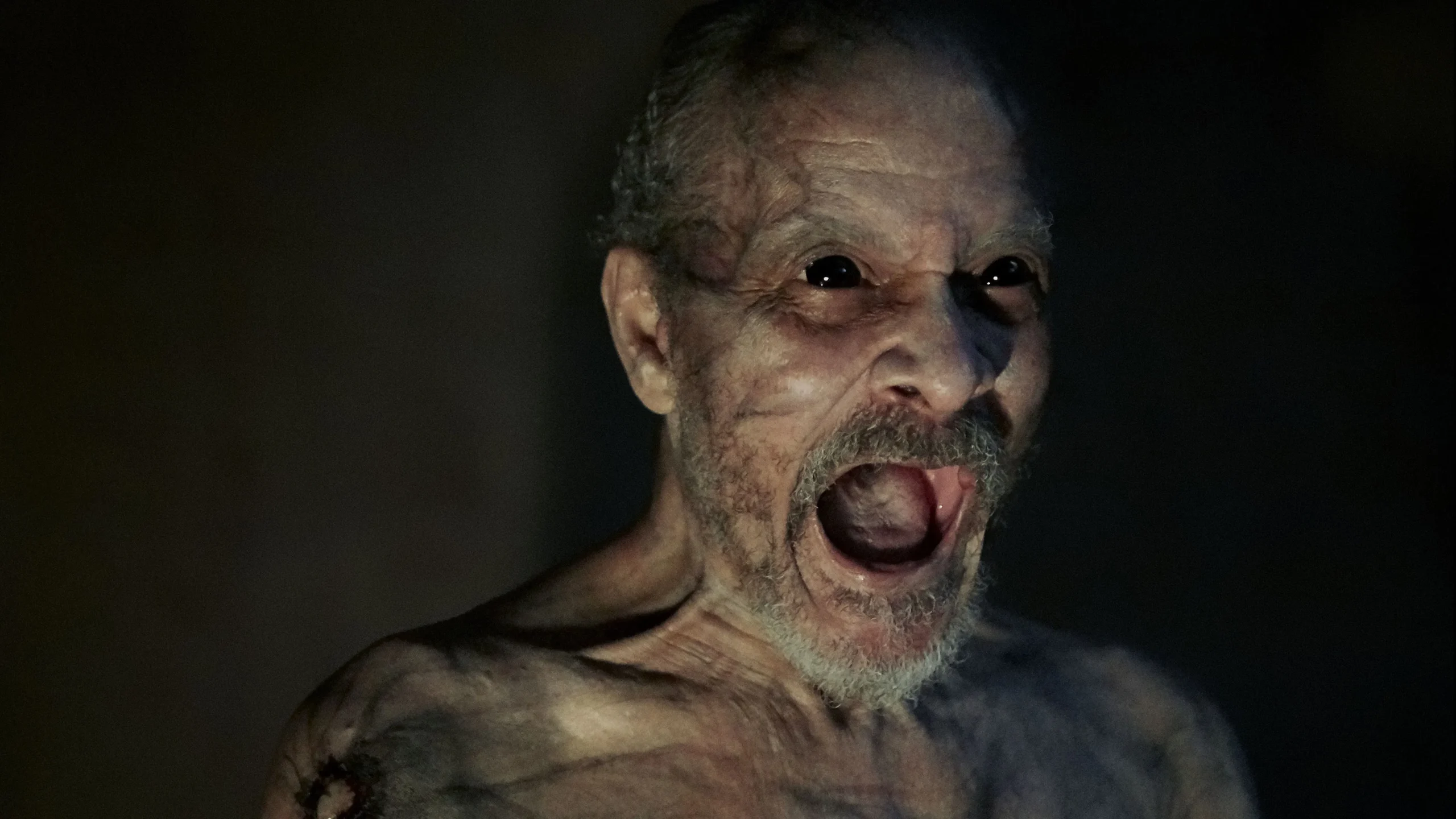 It-Comes-at-Night-2017-Paranoia-as-the-Real-Apocalypse | movievia.com 8 Ultimate Post-Apocalyptic Survival Movies After Greenland 2 Migration - Movievia