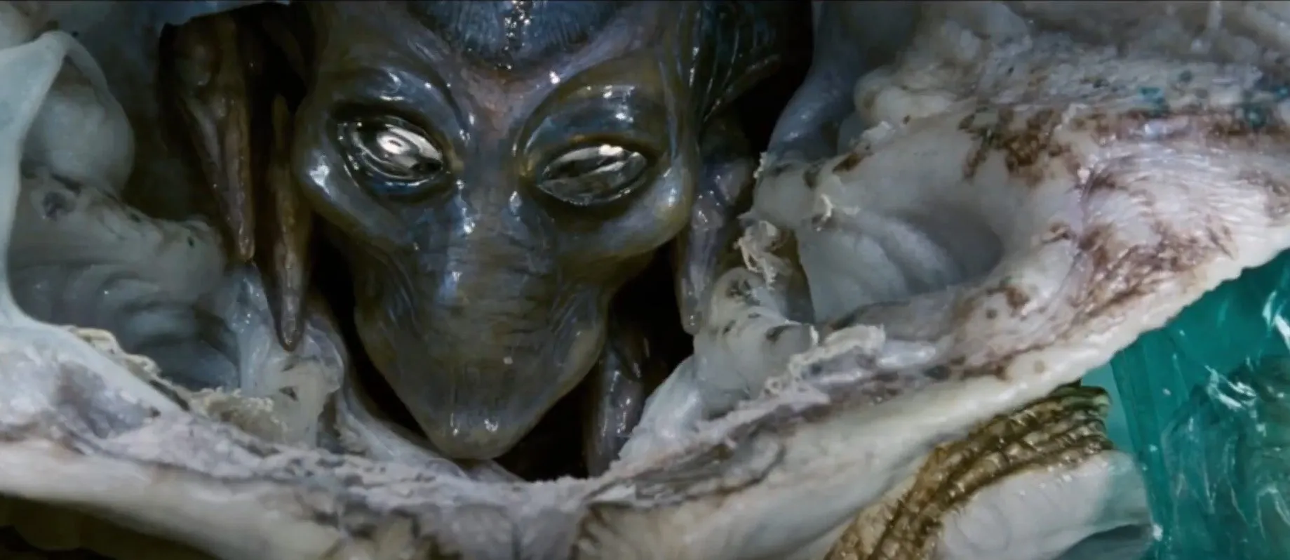 15 Deadliest Alien Species in Sci-Fi Movies Ranked - Movievia