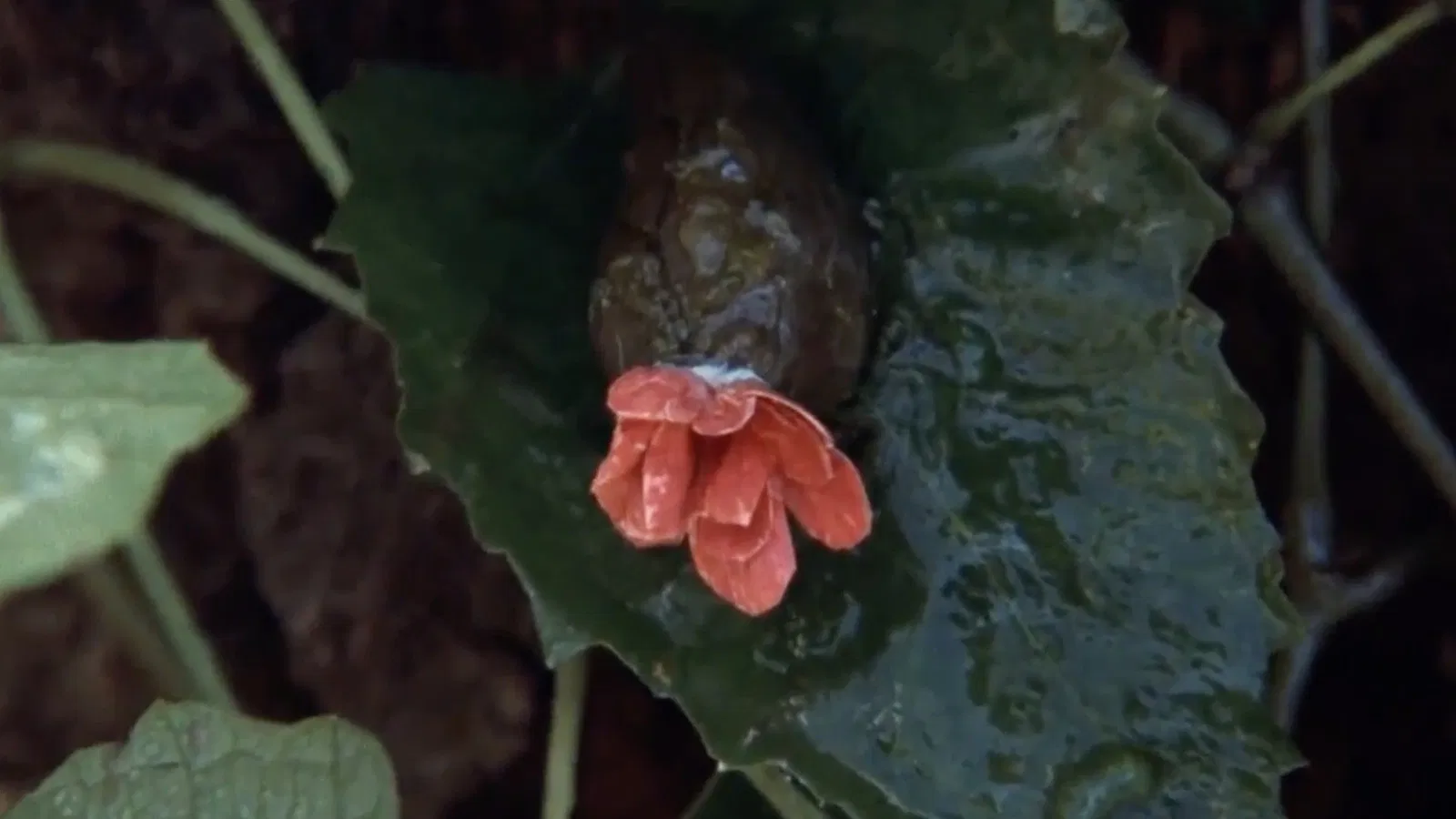 15 Deadliest Alien Species in Sci-Fi Movies Ranked - Movievia