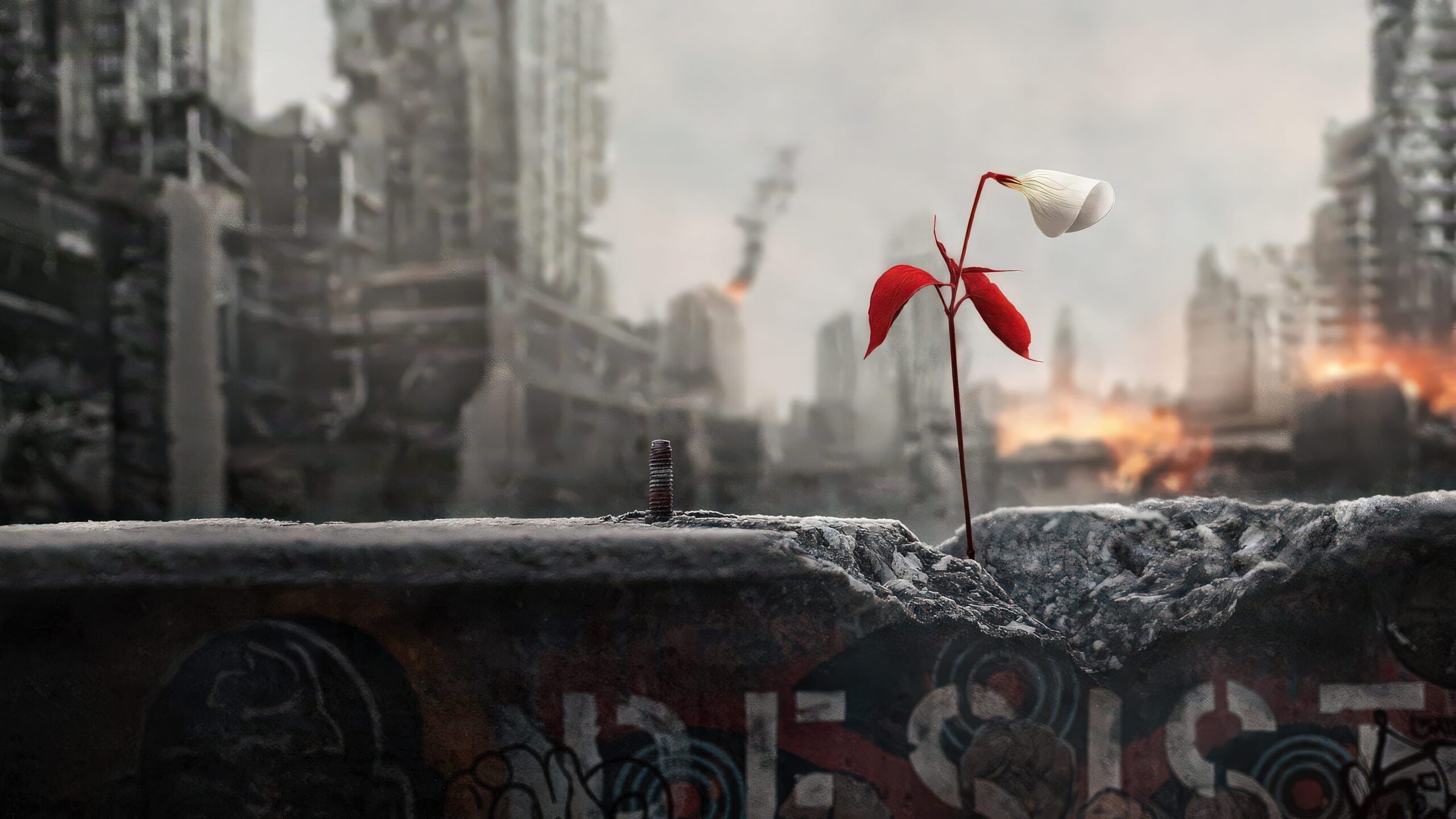 The Handmaid’s Tale - Movievia