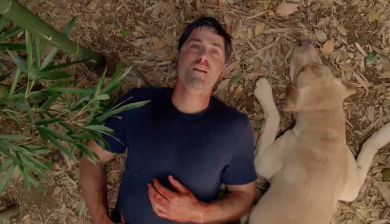 The Ending of Lost Explained - Movievia
