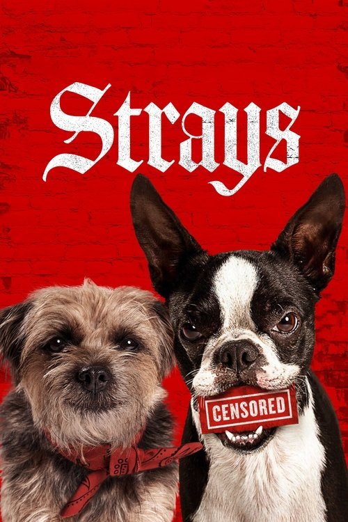 Strays - Movie Poster