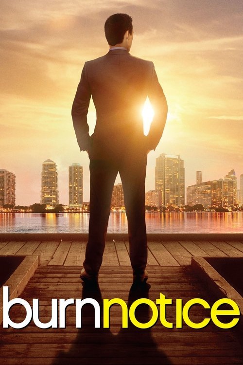 Burn Notice - Movie Poster