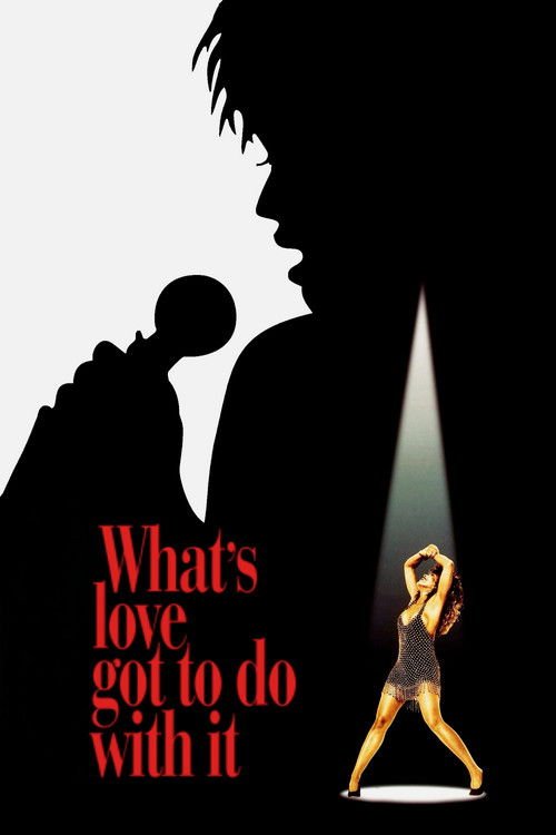 What’s Love Got to Do with It Poster