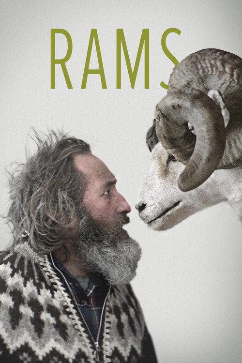 Rams - Movie Poster
